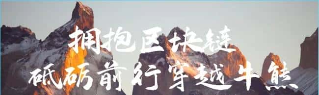 PI派币(PiNetwork)：从资金盘到注意力盘的范式革新