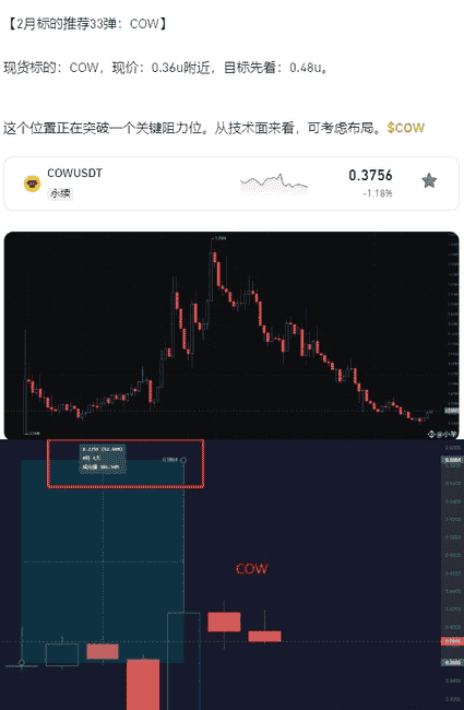 BTC下跌，山寨币强势反弹：解锁你的加密财富密码！