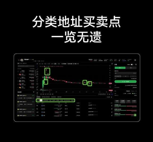 币圈新手宝典：从套牢学习到稳健投资的必备工具指南