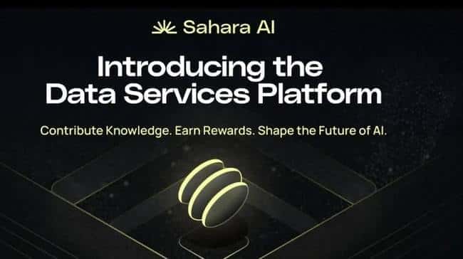 币安领投SaharaAI获4900万美金，测试网即将上线，AI+隐私计算赛道新王者崛起？