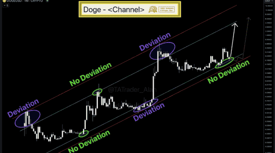 狗狗币（DOGE）指标显示超卖，价格或将迎来强势反弹！