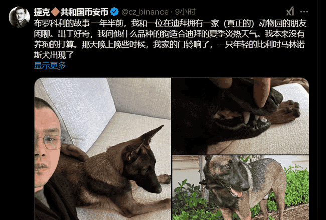 币安赵长鹏爱犬亮相，币圈掀起热议风暴？