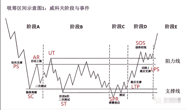 币圈内幕揭秘：做市商规则深度解析与庄家操盘策略曝光