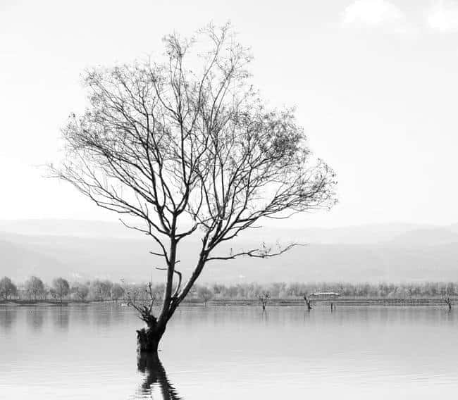 币圈传奇Michael Saylor：比特币囤货之王，投资战略揭秘