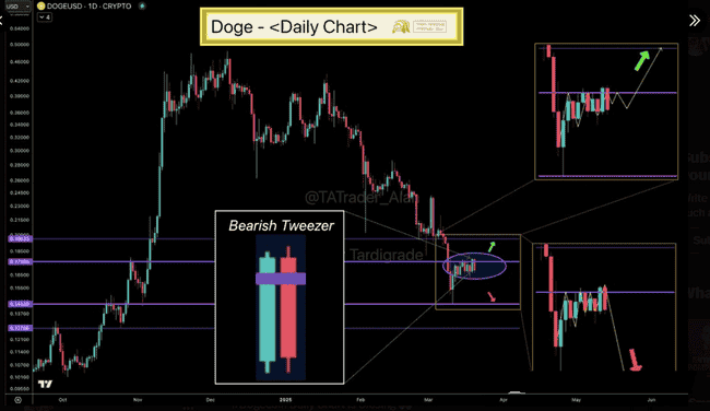 狗狗币（DOGE）关键支撑位再受考验，分析师深度剖析未来走势！