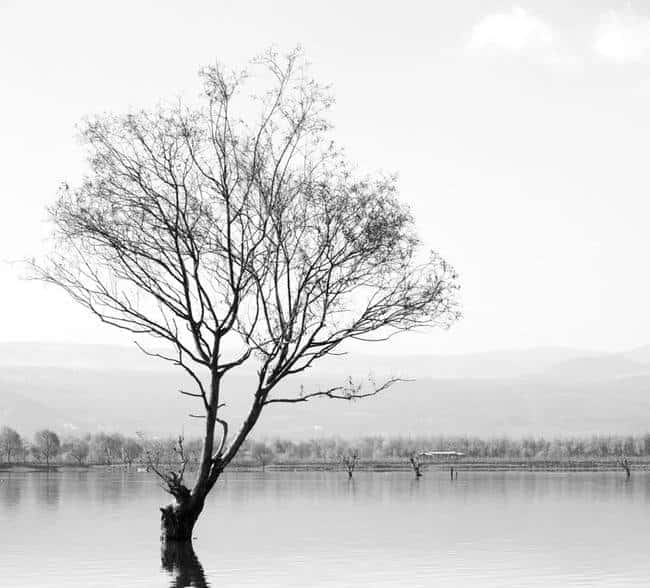 币圈新手必看：避开这些常见陷阱，稳健前行！