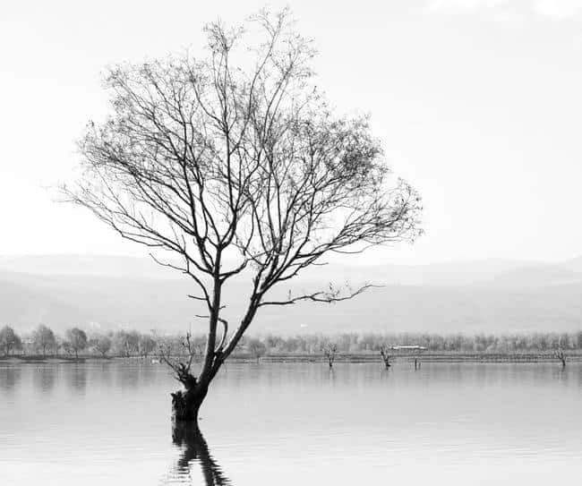 币圈英文缩写全解析：掌握这些术语，秒变圈内老司机