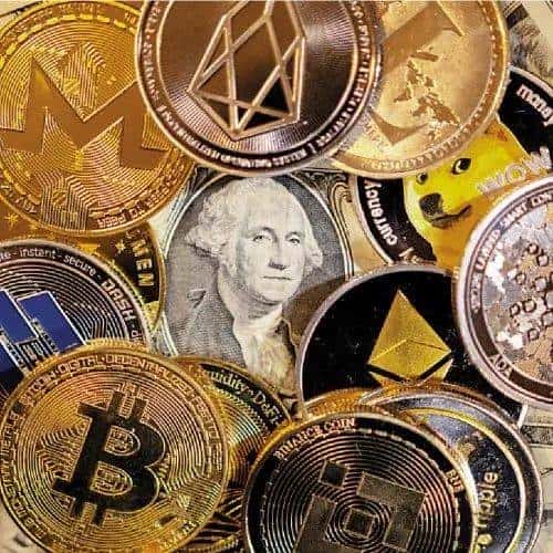 币圈现状:韭菜收割场的形成与警示