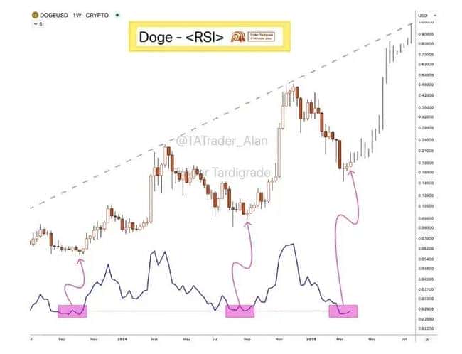 马斯克辟谣DOGE传闻：狗狗币抄底机会何在？