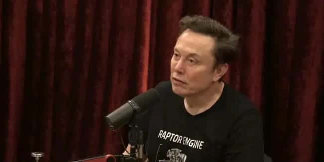 马斯克警示：迷因币如赌博，切勿All In！妄想靠其致富太愚蠢