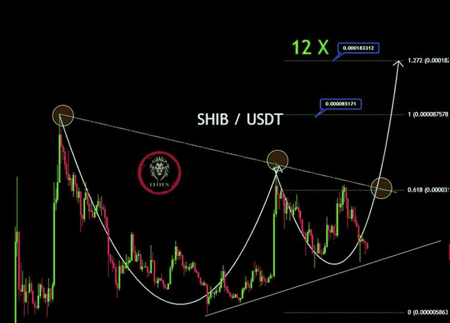 SHIB烧钱率飙升5000%，柴犬币价格能否迎来暴涨？