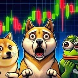 三月MEME币风暴来袭：DOGE、PEPE、BONK或将暴涨千倍