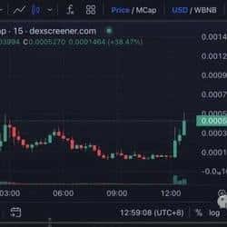 特朗普家族进军稳定币界！深度解析BSC平台总统稳定币USD1
