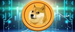 DOGE承压下行，关键支撑位受考验：市场动态与投资策略