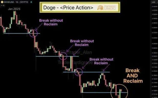 狗狗币(DOGE)绝地大反攻,底部稳固迹象显现?1美元成抄底或观望关键节点