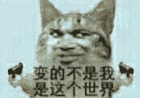 币圈热点：老美股债汇齐跌，梭哈投资或将面临翻车危机？