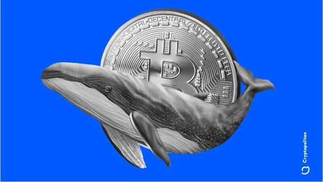 BTC突破8.8万引领独立行情，山寨币现货ETF申请或蕴藏百倍收益机遇？