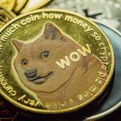 狗狗币暴跌46%创7年新低，2018年熊市将重现？