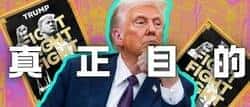 特朗普币$TRUMP：政治流量与资本博弈下的投资陷阱？