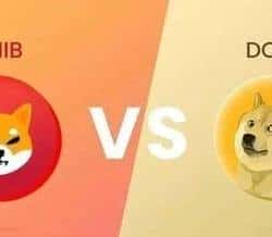 SHIB难撼狗狗币霸主地位？最新数据揭示狗狗币王座稳固性！