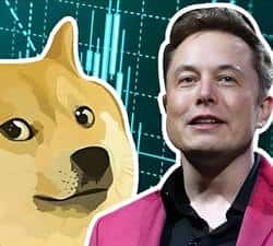 狗狗币（DOGE）巨鲸异动，内幕仓助力10倍行情，马斯克或将有大动作？