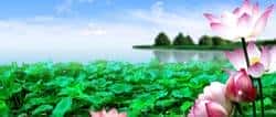 全球加密货币合法化地图：一文深度解读ubiUBi覆盖国！