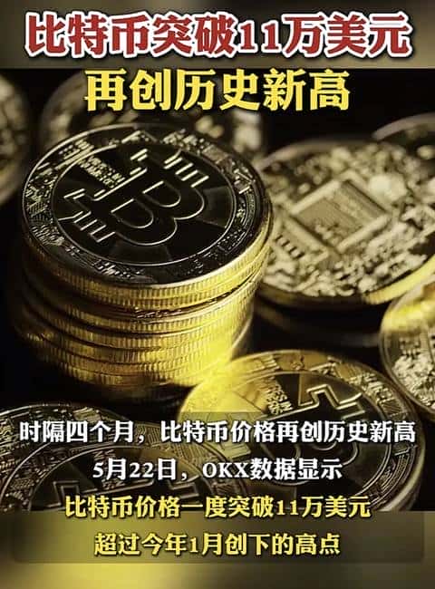 比特币破11万，加密货币新纪元：冲刺20万还是面临归零？