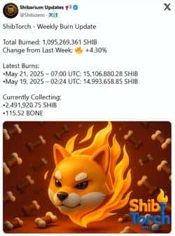 加密市场火爆！SHIB销毁量狂飙11899%，惊人涨幅震撼币圈！