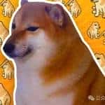 马斯克携犬发声：狗狗币挑战美元霸主地位，全球震惊！