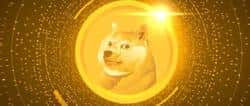 多重信号齐发，狗狗币（DOGE）熊途尽显曙光！