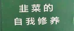 币圈周期全揭秘：不想慢慢变富？先看完这个！