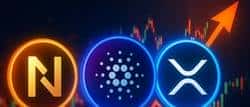 2025年币圈大爆炸！Nexchain、Cardano、XRP，三大黑马谁将独占鳌头，引领暴涨狂潮？