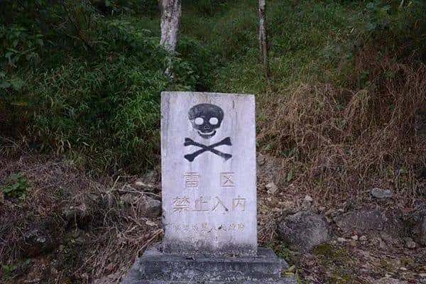 2025币圈财富密码：从入门到精通的进阶理财实战指南