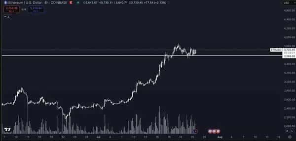 BTC回调别慌！2025.7.26全球顶级交易员教你如何抄底布局