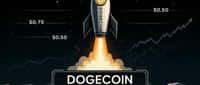 DOGE、SHIB暴涨后，鲸鱼盯上哪只模因币？下一个百倍币就是它！