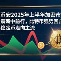 币安2025上半年加密研报：比特币王者归来，稳定币重塑市场格局！