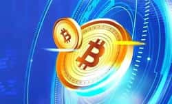 8月币圈巨震！比特币跌破11.7万，美联储重磅表态引爆市场恐慌