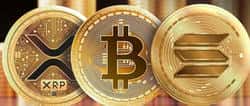 空头惨遭爆仓！SHIB、BTC、XRP集体反攻，大行情一触即发？
