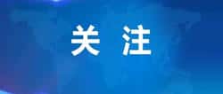 全线暴跌！市场血流成河，抄底还是逃命？