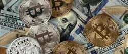 Solana土狗风口：新手掘金一级市场的财富密码！