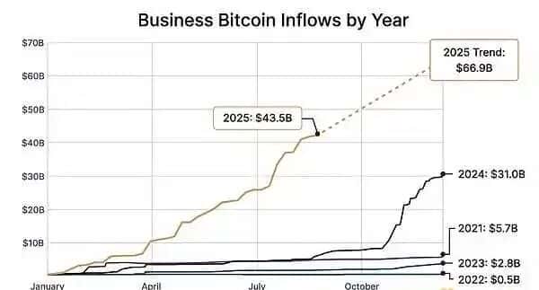 比特币牛市背后的驱动力：企业为何争相购买BTC？