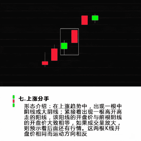 币圈究竟是什么?