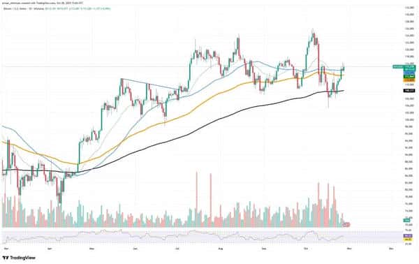 比特币假突破危机:市场复苏成空,狗狗币或将再添零!