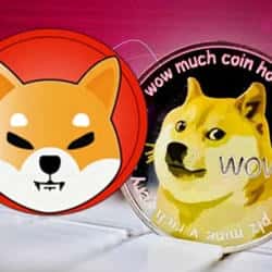 狗狗币与柴犬币暴跌!币圈再迎震荡!