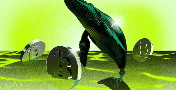 鲸鱼悄然逢低买入,比特币100000美元支撑位测试开启!