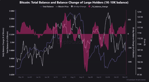 鲸鱼悄然逢低买入,比特币100000美元支撑位测试开启!