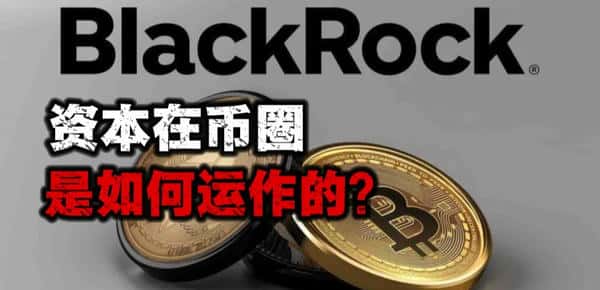 资本运作揭秘:掌握这些币圈生存法则!