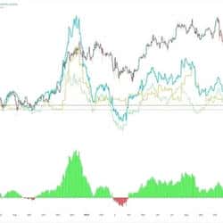 比特币最大买家“收手”：疯狂扫货为何骤停？