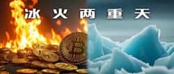 4万亿市值揭秘：币圈“冰火两重天”的真相！