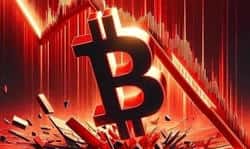 加密货币真的进入熊市？市场结构全面评估！